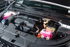 z6486654149935-cf4909761b5df8e06551356a66c5cfe1-2802261j33567